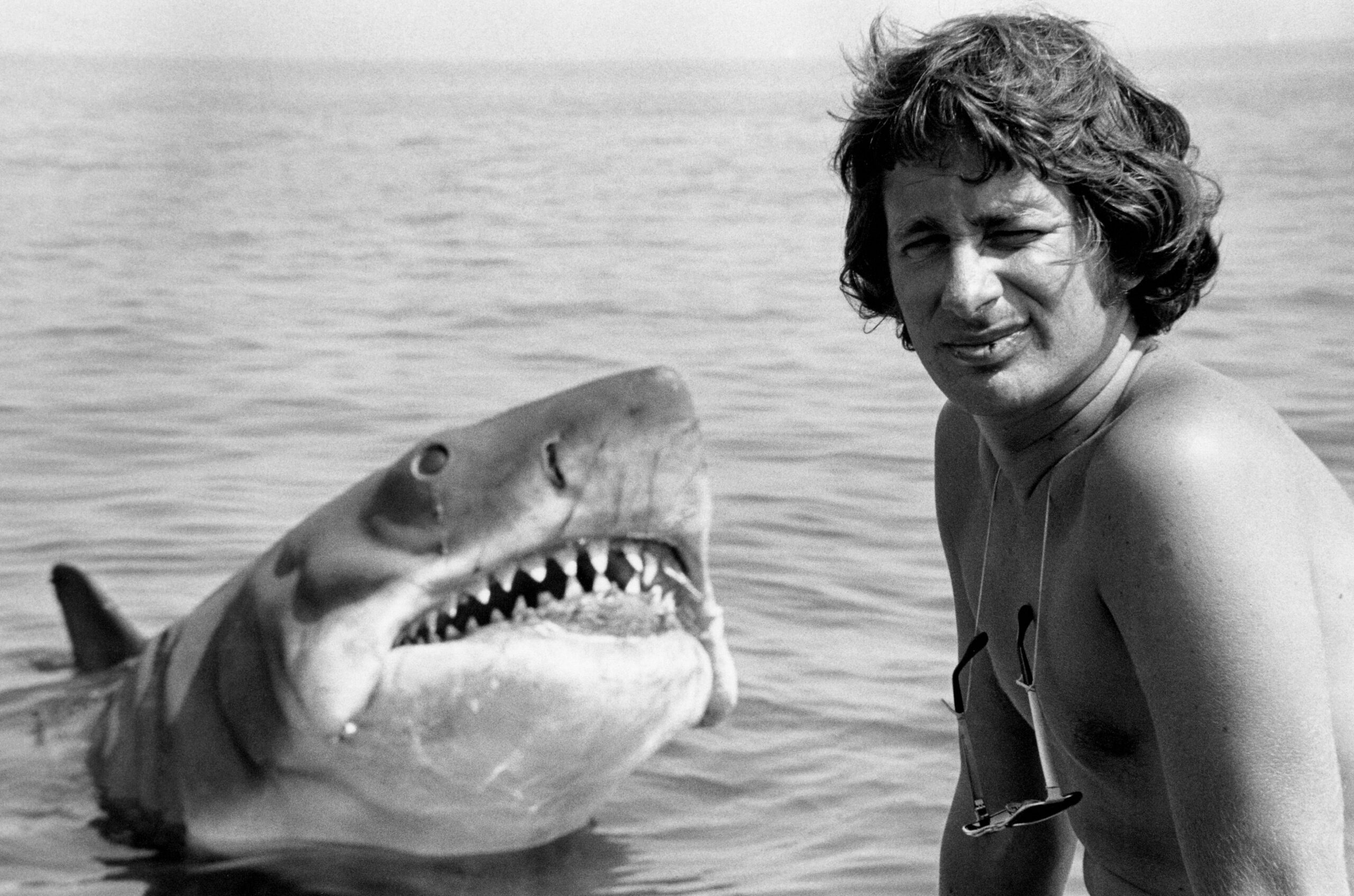 Tiburón