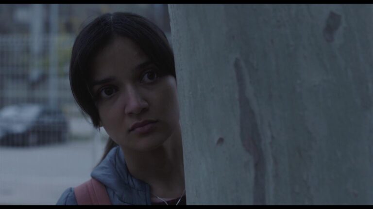 Femenino, singular