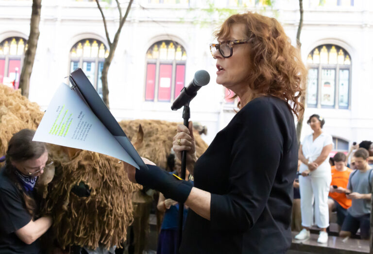 Susan Sarandon