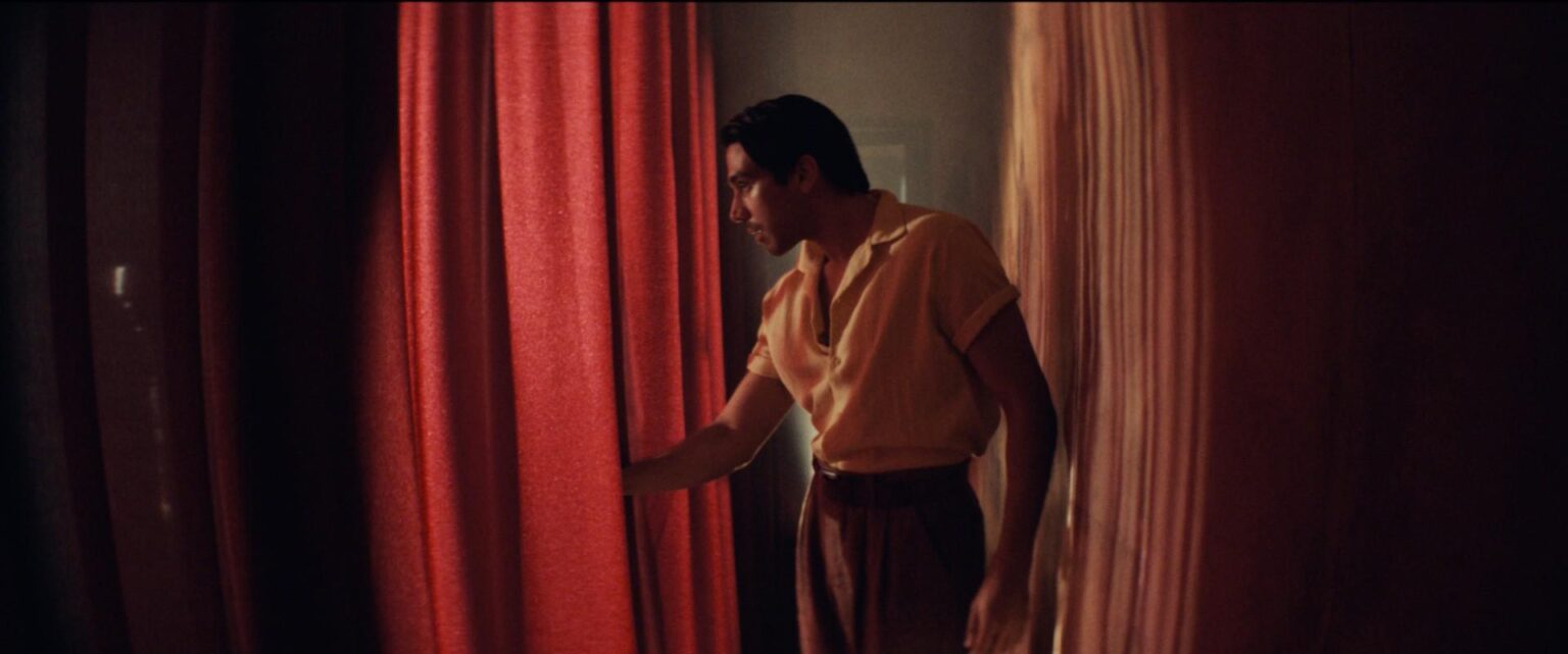 Narciso